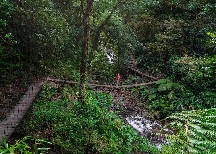 Monteverde El Tigre Hideaway Casa Colmena Hébergement de vacances Tilarán