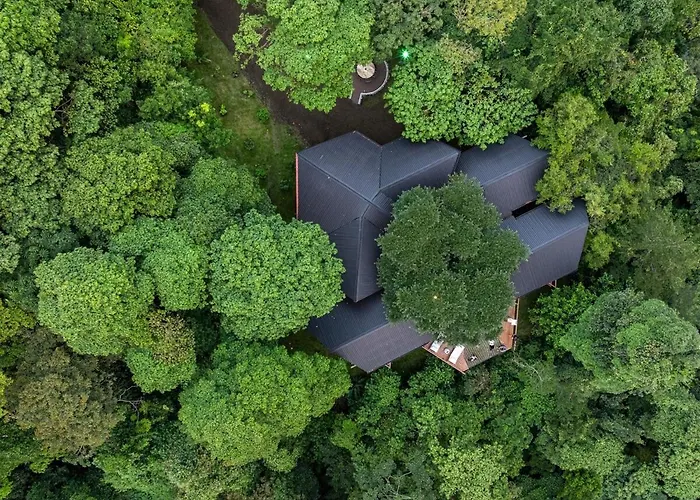 Monteverde El Tigre Hideaway Casa Colmena Hébergement de vacances *